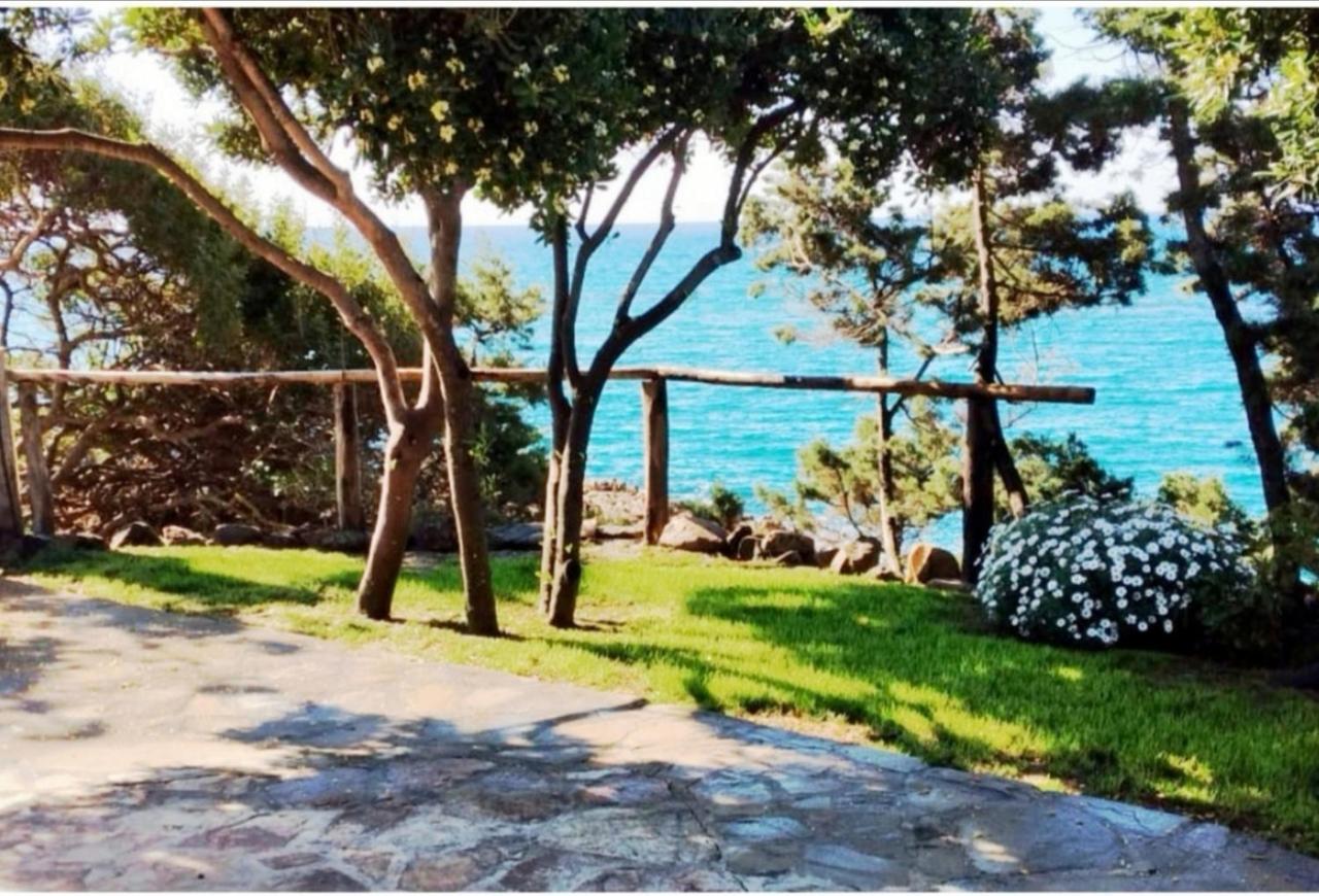 Villa Vera Trifamigliare Con Ingresso Diretto 20 Mt Al Mare Clima Wi-Fi Bbq Cala Liberotto Exteriér fotografie